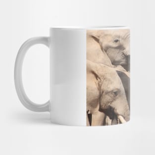 African Wildlife Photography African Elephant Drinks Mug